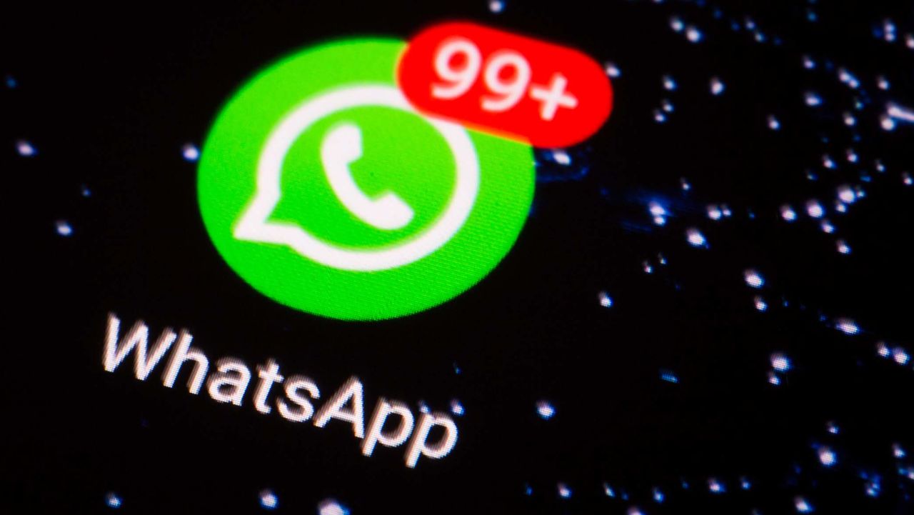 WhatsApp screening software